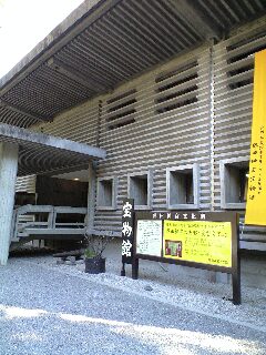 100109_1024~0001.jpg