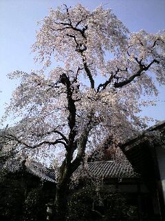 100320_1450~0001.jpg