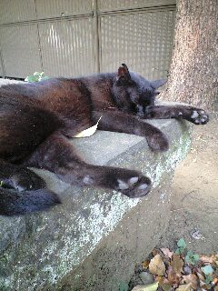 100808_1117~0001.jpg