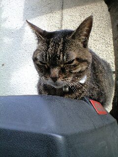 120101_1111~0001.jpg