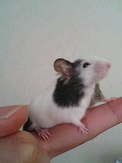 大地に降り立つ