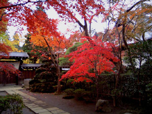 平林寺庫裏