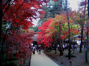 平林寺参道