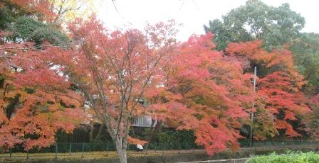 IMG_5768.JPG