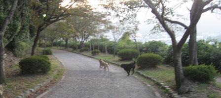 IMG_4529.JPG