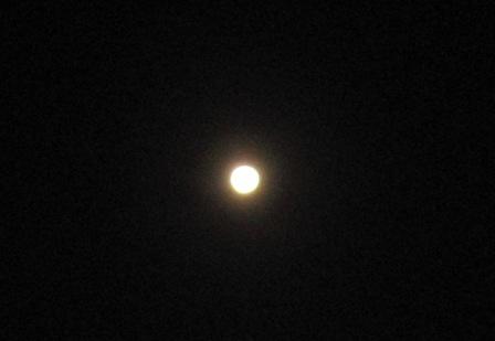 IMG_4654.JPG