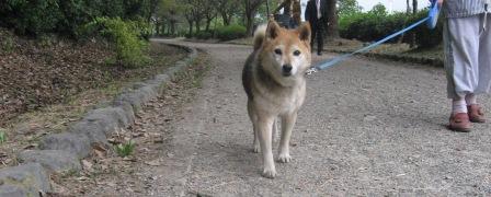 IMG_3991.JPG