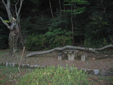 IMG_4670.JPG