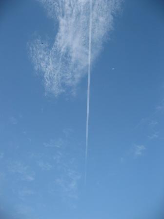 IMG_3595.JPG