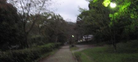 IMG_3605.JPG