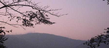 IMG_3957.JPG