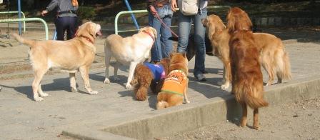 IMG_4583.JPG