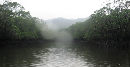 IMG_5290.JPG