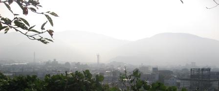 IMG_4559.JPG