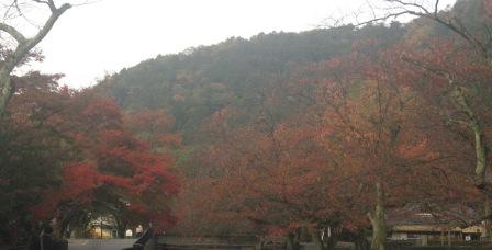 IMG_5595.JPG