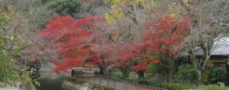 一灯園１.JPG