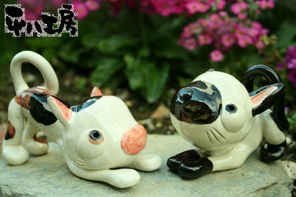 のびのび猫ちゃん1