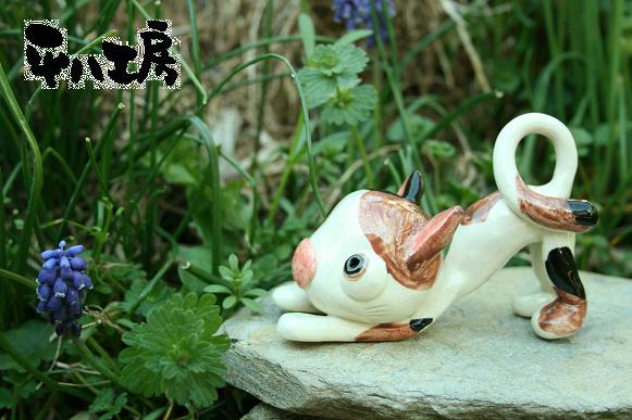 ノビノビ猫ちゃん5