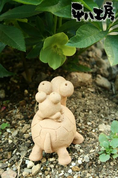 カメさんとカエルさん4