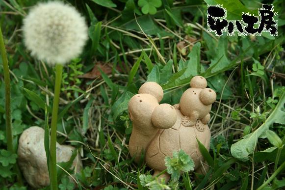 カメさんとカエルさん5