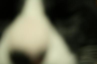 こうっすかぁ～