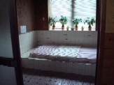 DSC02031.JPG