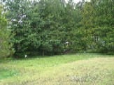 DSC02036.JPG