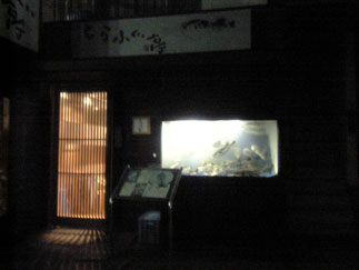 V6010007.jpg
