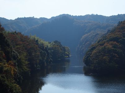 亀山2.jpg
