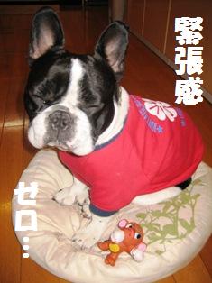 緊張感ゼロ.jpg