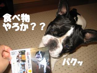 写真３.JPG