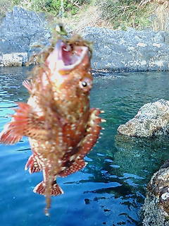 20070412174821.jpg