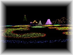 ドイツ村光の祭典１.jpg