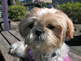 いつもと違う公園にて2