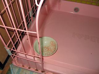 くるみのご飯5