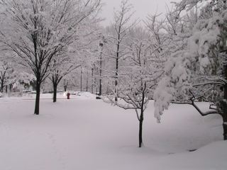 積雪2