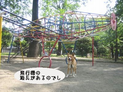 ﾋｺｰｷ公園.jpg