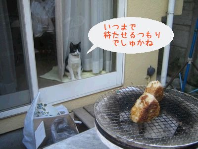 食の狩人ちび太.jpg