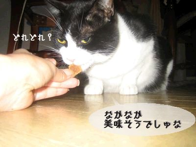 食べます.jpg