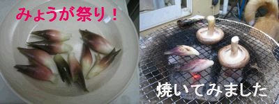 焼いてみました.jpg