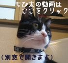 ちび太動画用