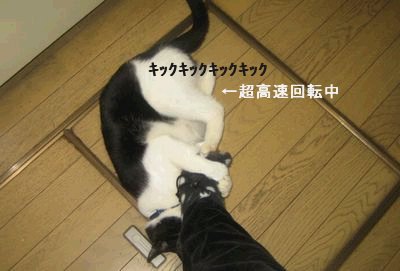 がし.jpg