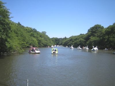 井の頭公園.jpg