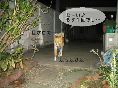 もっと投げて.jpg