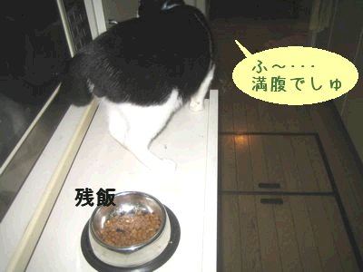 残飯.jpg