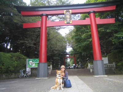 大宮八幡宮.jpg