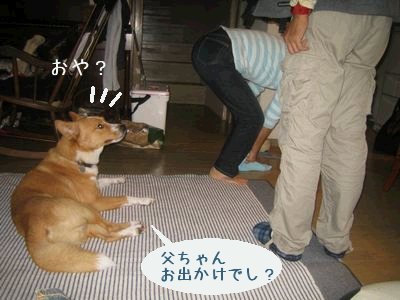 お出かけでしか？.jpg