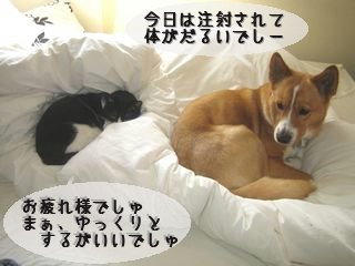 寝るとします.jpg