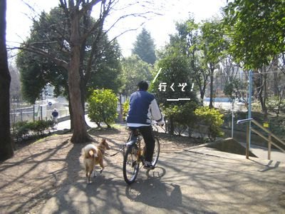 自転車で.jpg