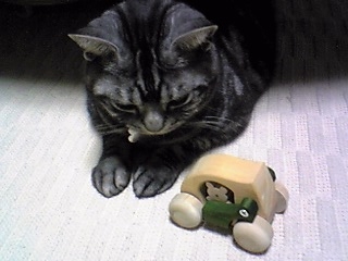 リュウと木のオモチャ